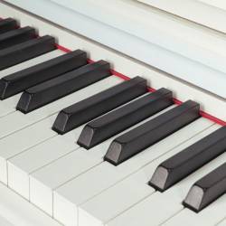 PIANO OQAN QP88SW