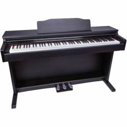 PIANO OQAN QP88S