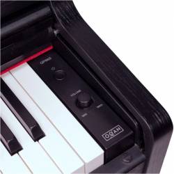 PIANO OQAN QP88S